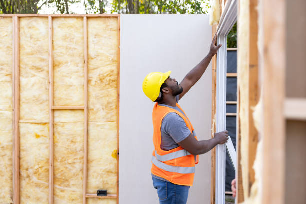 Best Insulation Removal  in Cao, ND