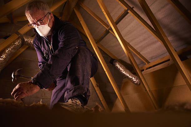 Best Best Insulation Companies  in Cao, ND