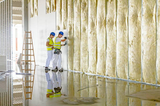 Soundproof Insulation Installation in Cando, ND